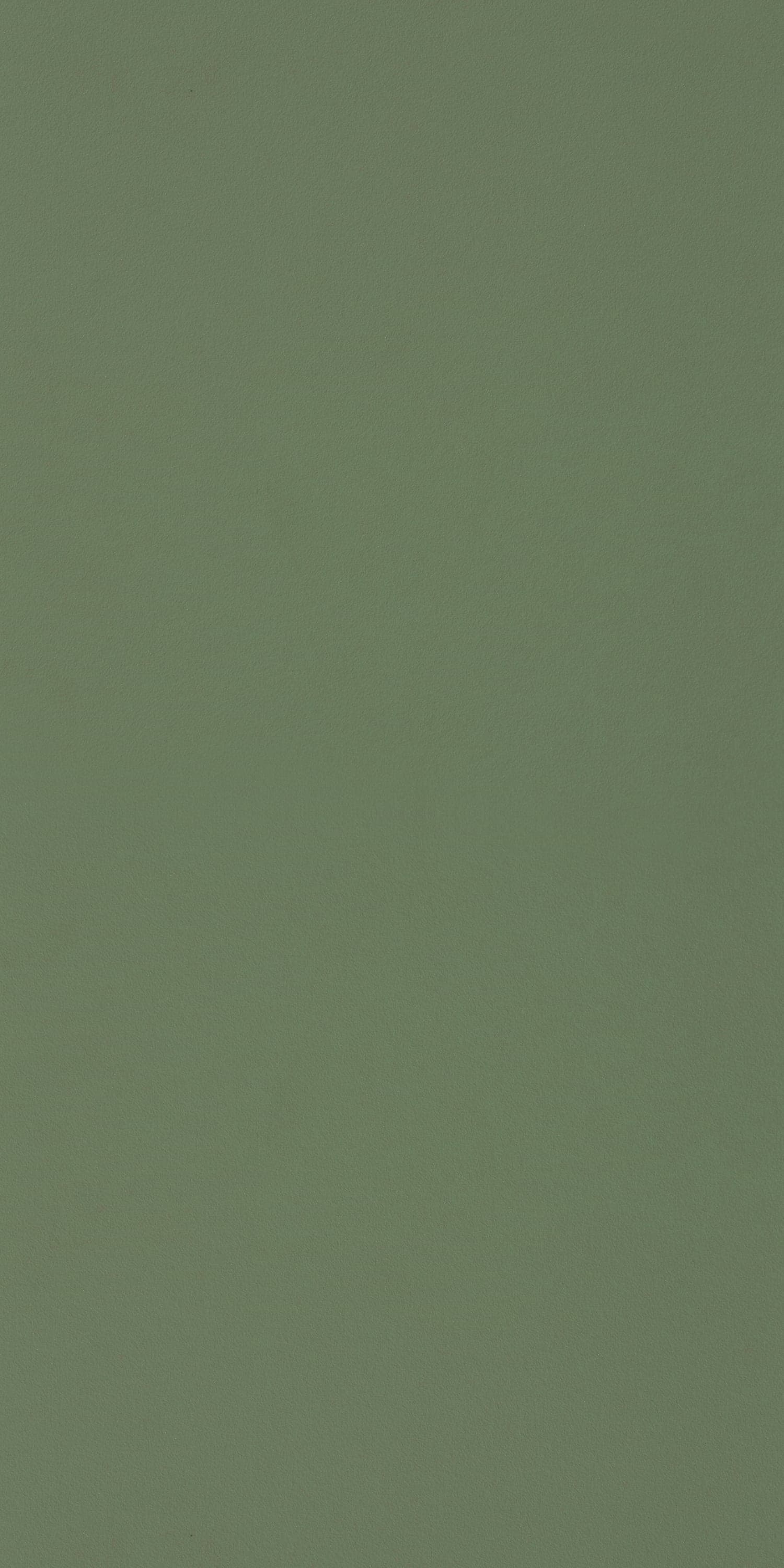 Sage Laminate | 1mm | Design: Solid Colour | Surface: Suede | Finish: Matte | Manufacturer Finish: Suede | Size: 8ft x 4ft